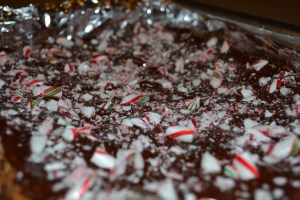 The chocolate glaze layer on the peppermint frosting topped with crushed candy canes. 