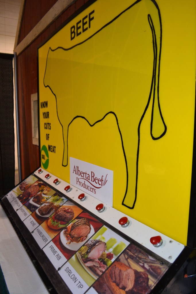 An interactive Alberta Beef Producers display that shows the various cuts of meat from a cow. 