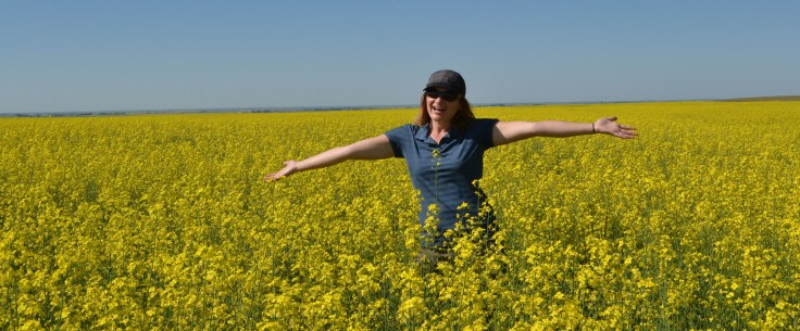 Standing in a sea of yellow - canola. 