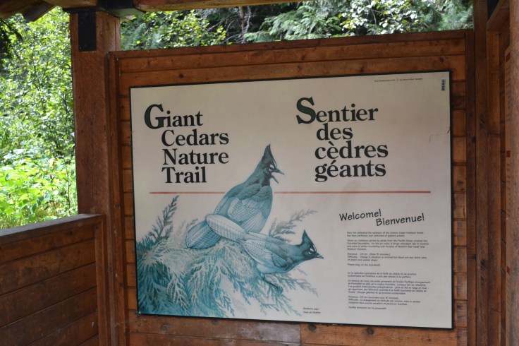 Giant Cedars boardwalk trail. 