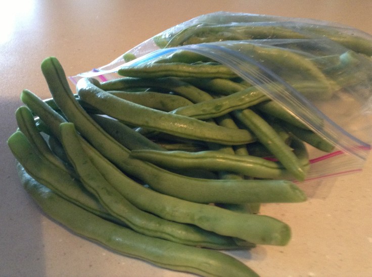 Fresh green beans from the garden... nothing compares! 