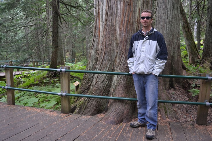 Keith in front of a huge red cedar. 