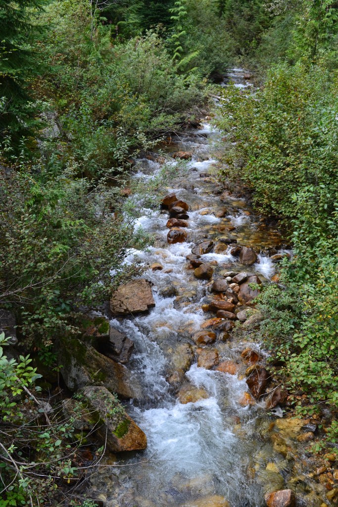 A small stream along the trail. 