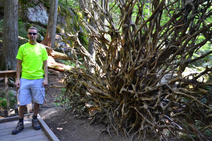 Standing beside some crazy tree roots. 