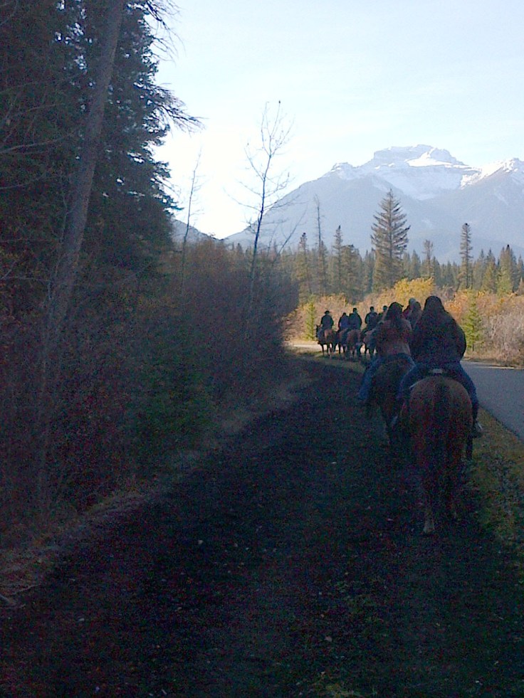 On the trail… follow the leader. 