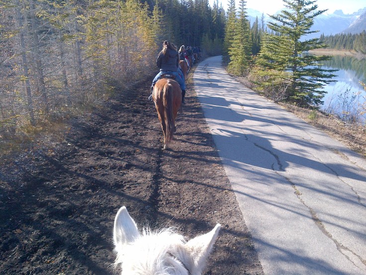 I discovered it's not easy taking photos when you're bouncing along on a horse. 