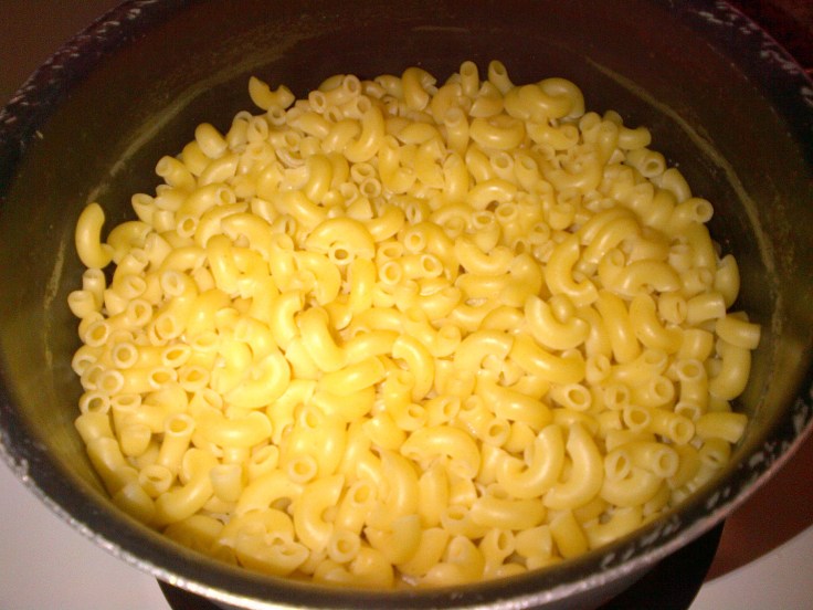 Cook macaroni until slightly firm. 