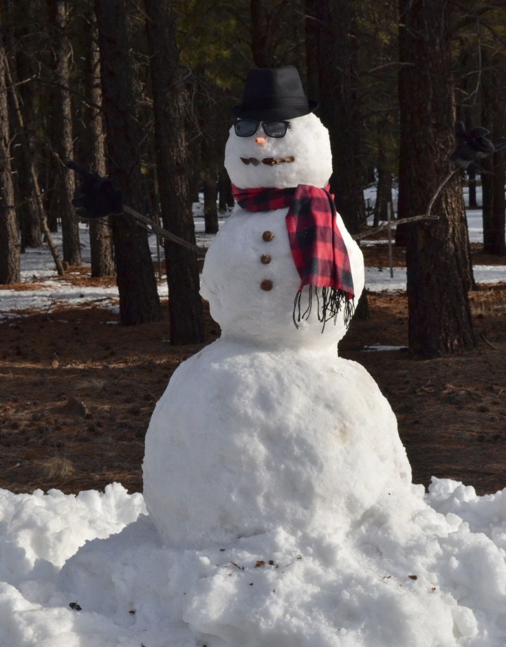 Hello from sunny Arizona! 