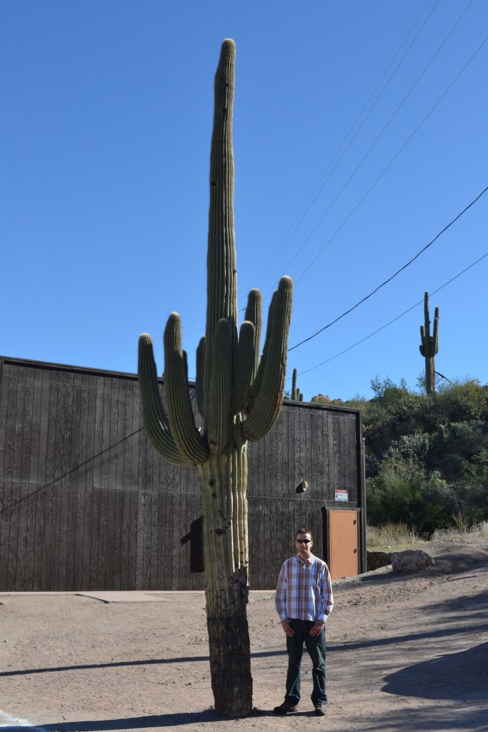 Looking very small next to this huge cactus. 