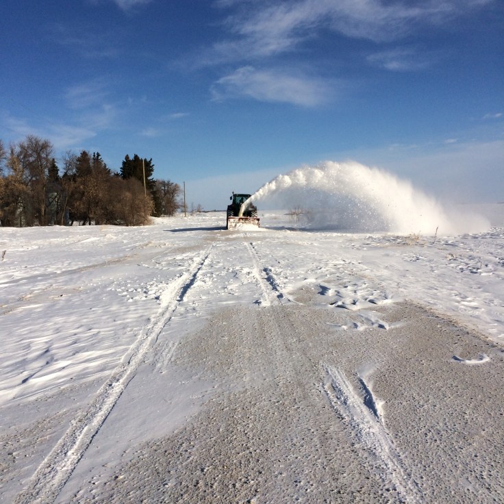 Blowing snow on the farm. 