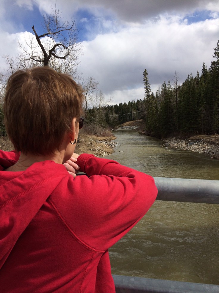 Mom looking out over the creek. 