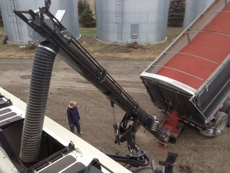 Loading wheat seed into the air seeder. The wheat seed is red because it's been treated with a seed treatment that will help protect the seed from disease and insects, and provide stronger and faster emergence. 