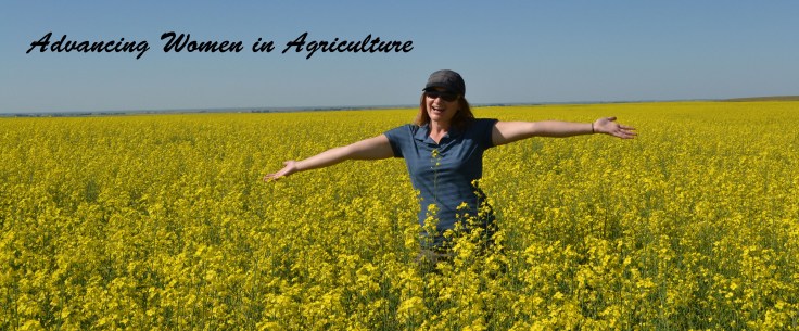 Teresa_canola_field_image