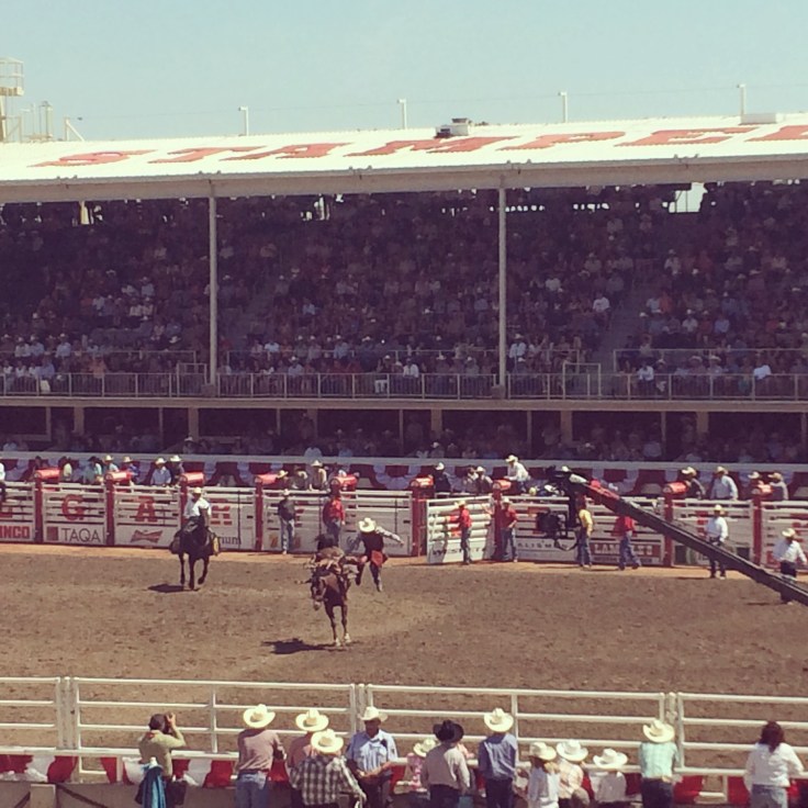 Rodeo action!