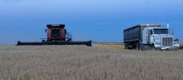 harvest14_02