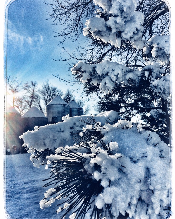 FarmWinter_Dec2015